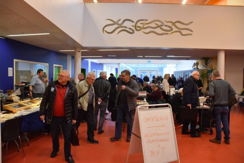 Der var mange besøgende. Der var mange besøgende.